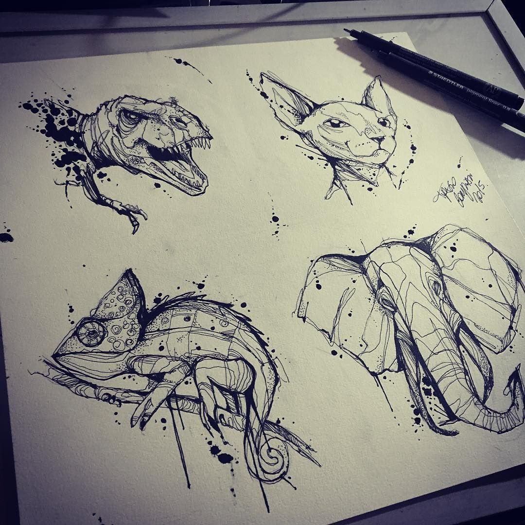 Иллюстрации Кэти Липскомб