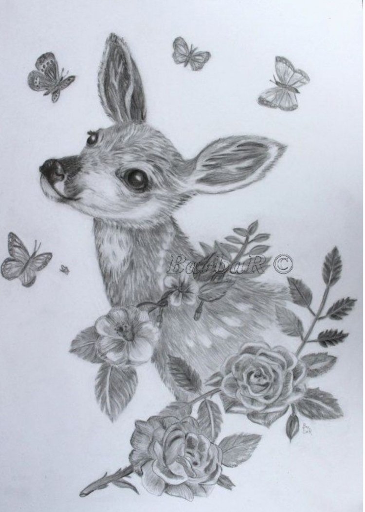 Кот цветными карандашами реалистично