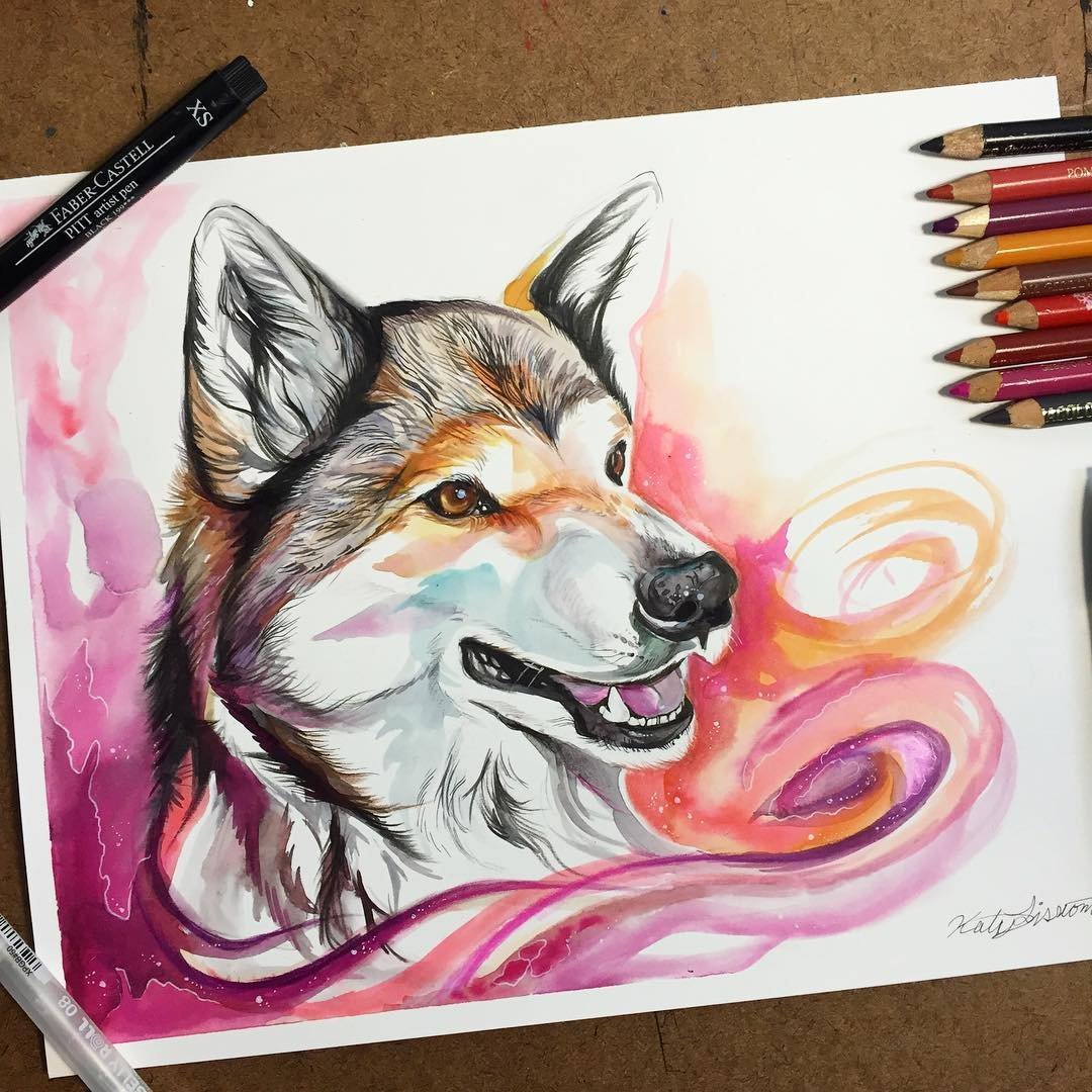 Животные для скетчбука