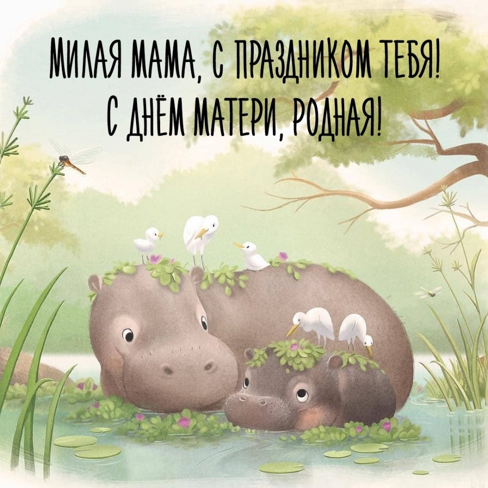 Доброе утро мама