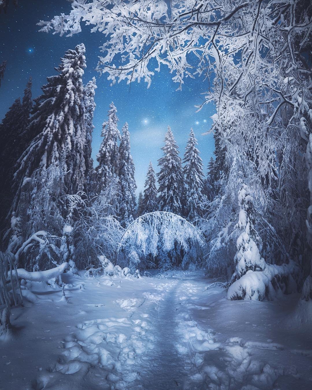 Рождественская сказка