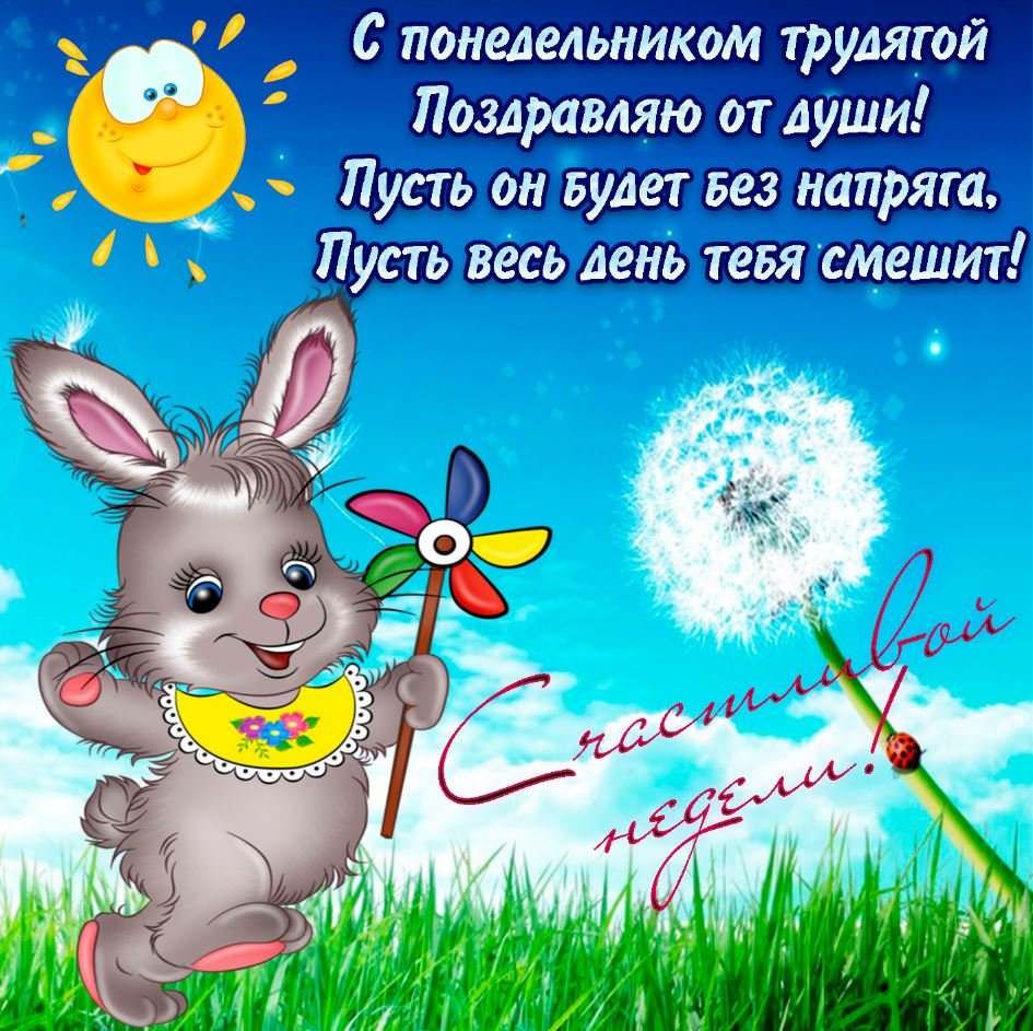 Удачного дня юмор