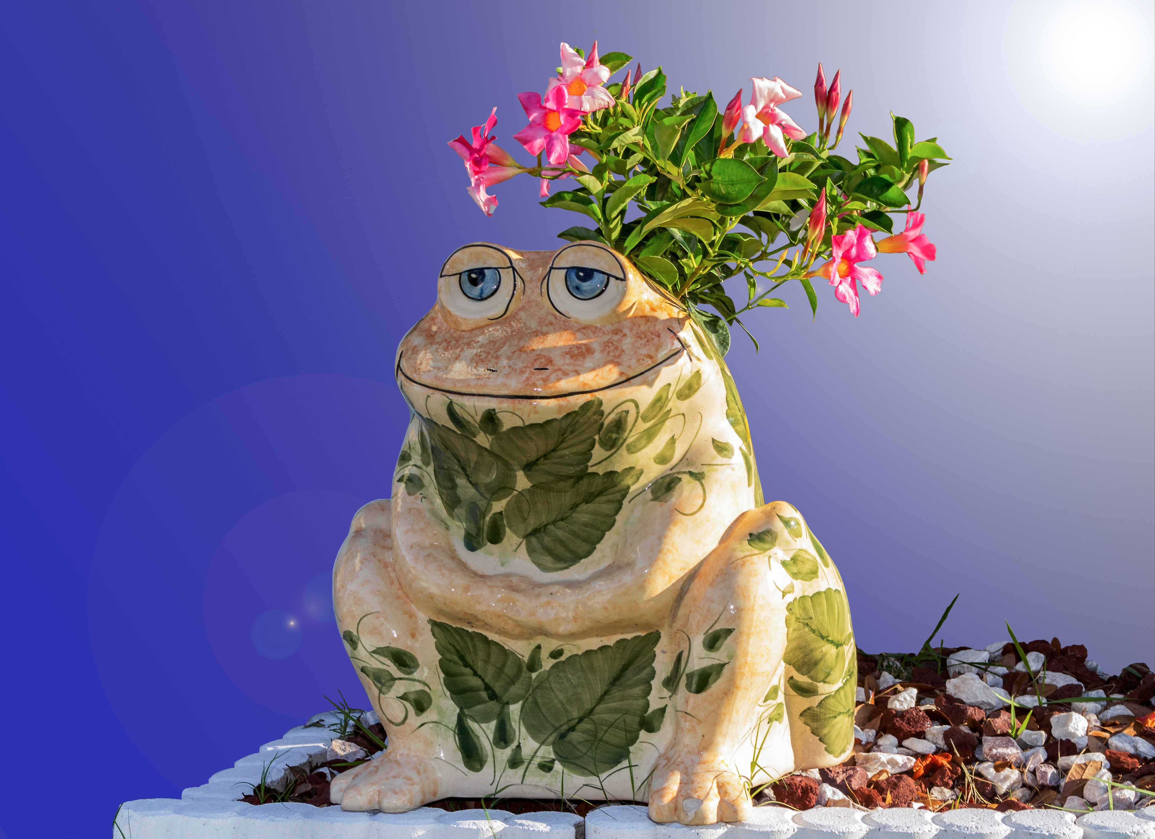 Лохотрон лягушка. Лягушка. Обои с лягушками. Красивые лягушка с цветами. Лягушонок с цветами.