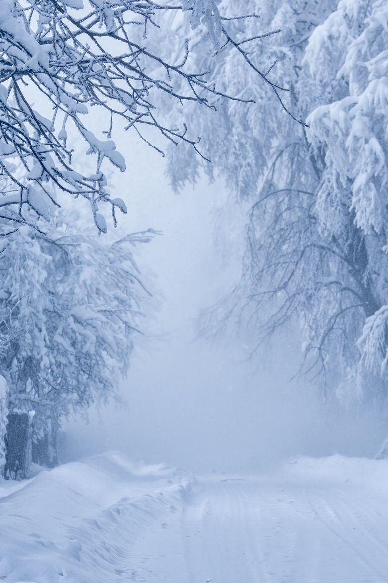 Снежный пейзаж