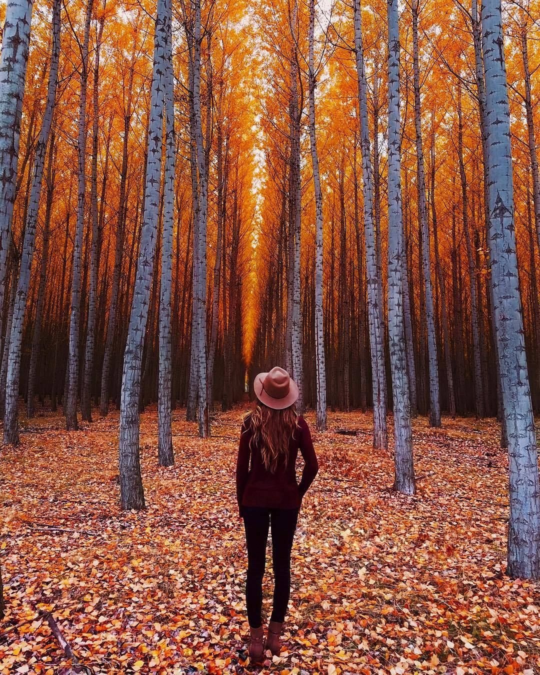 Осенние фотосессии в лесу необычные