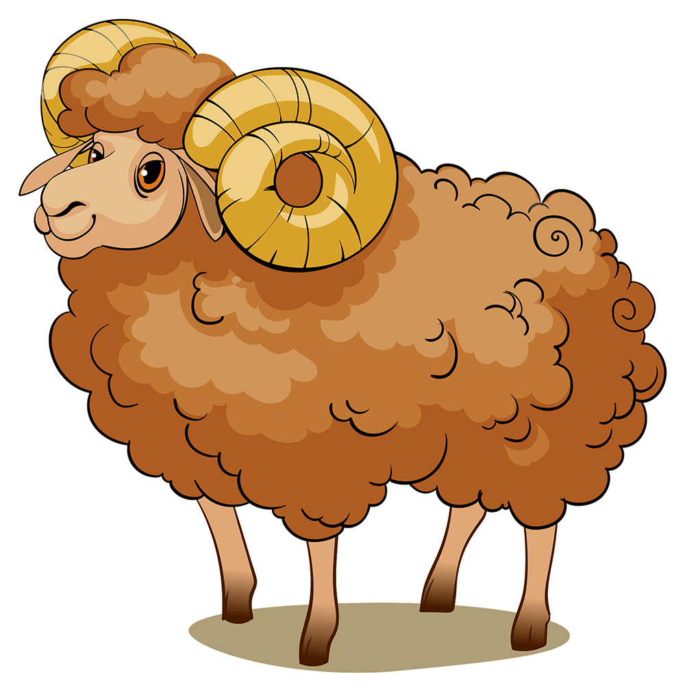 Баран рисунок