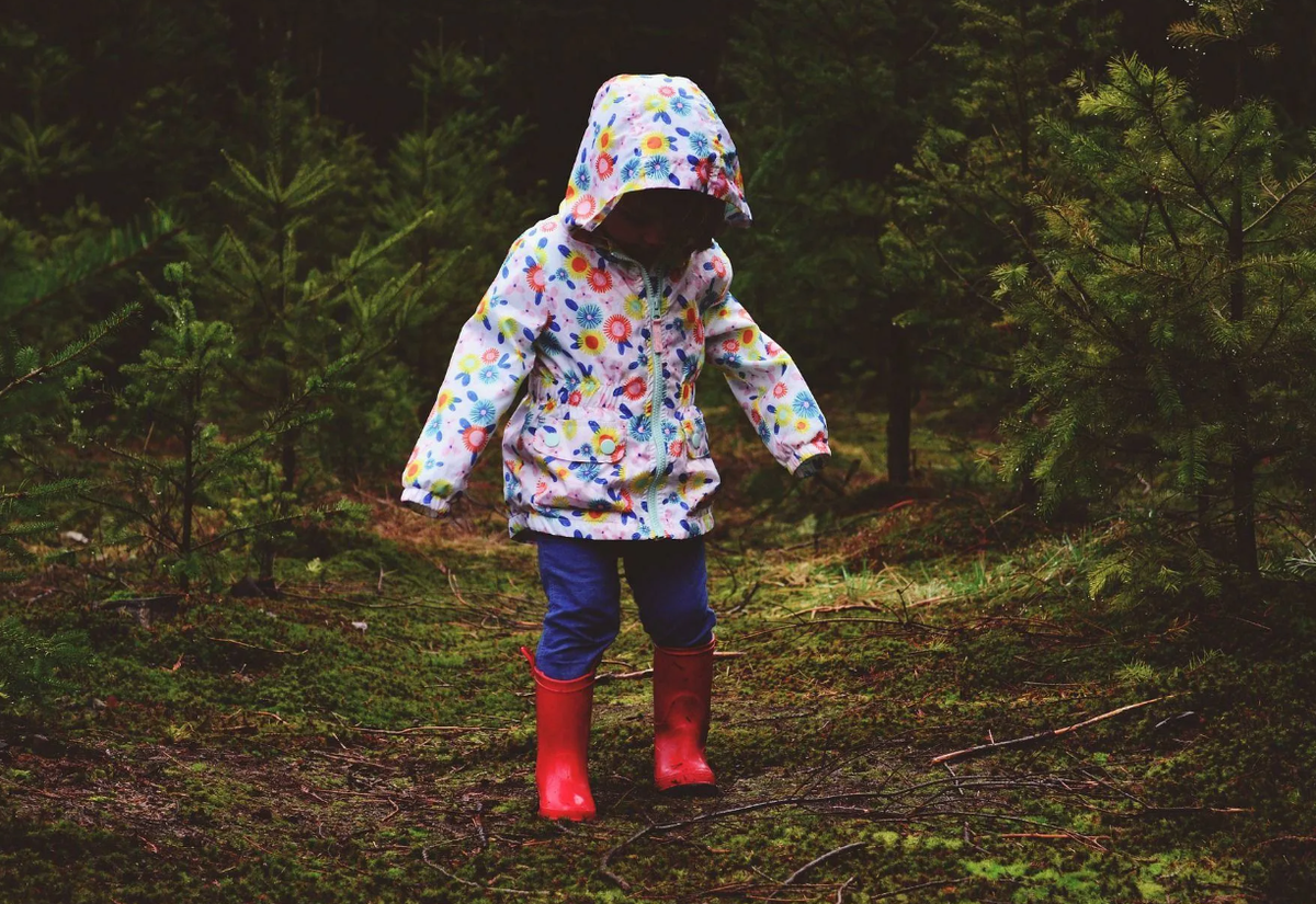 Девочка потерялась в лесу