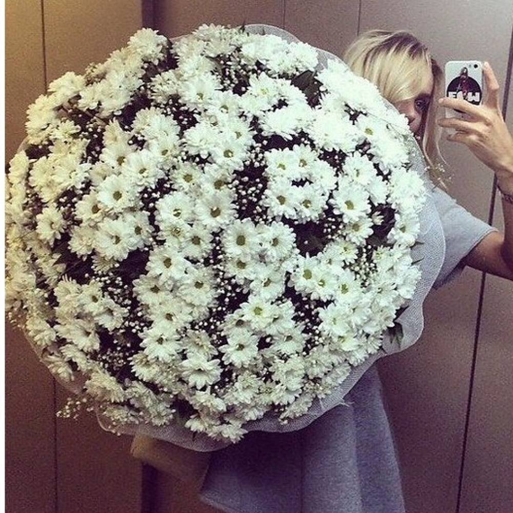 Огромный букет ромашек в руках