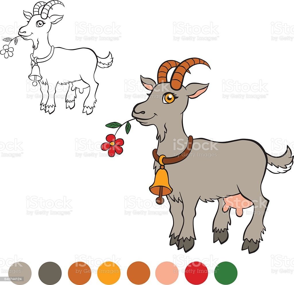 Коза рисунок в цвете