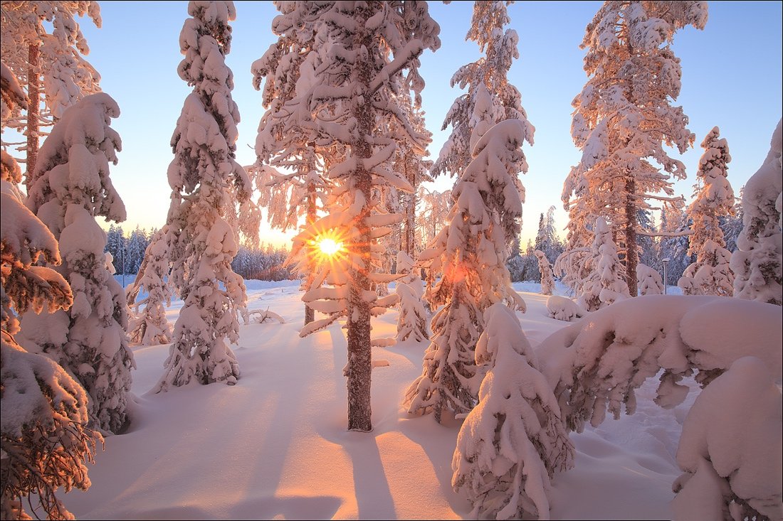 Красивая зима