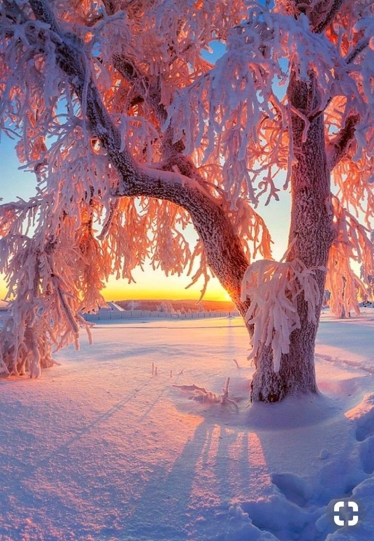 Зимний рассвет в горах