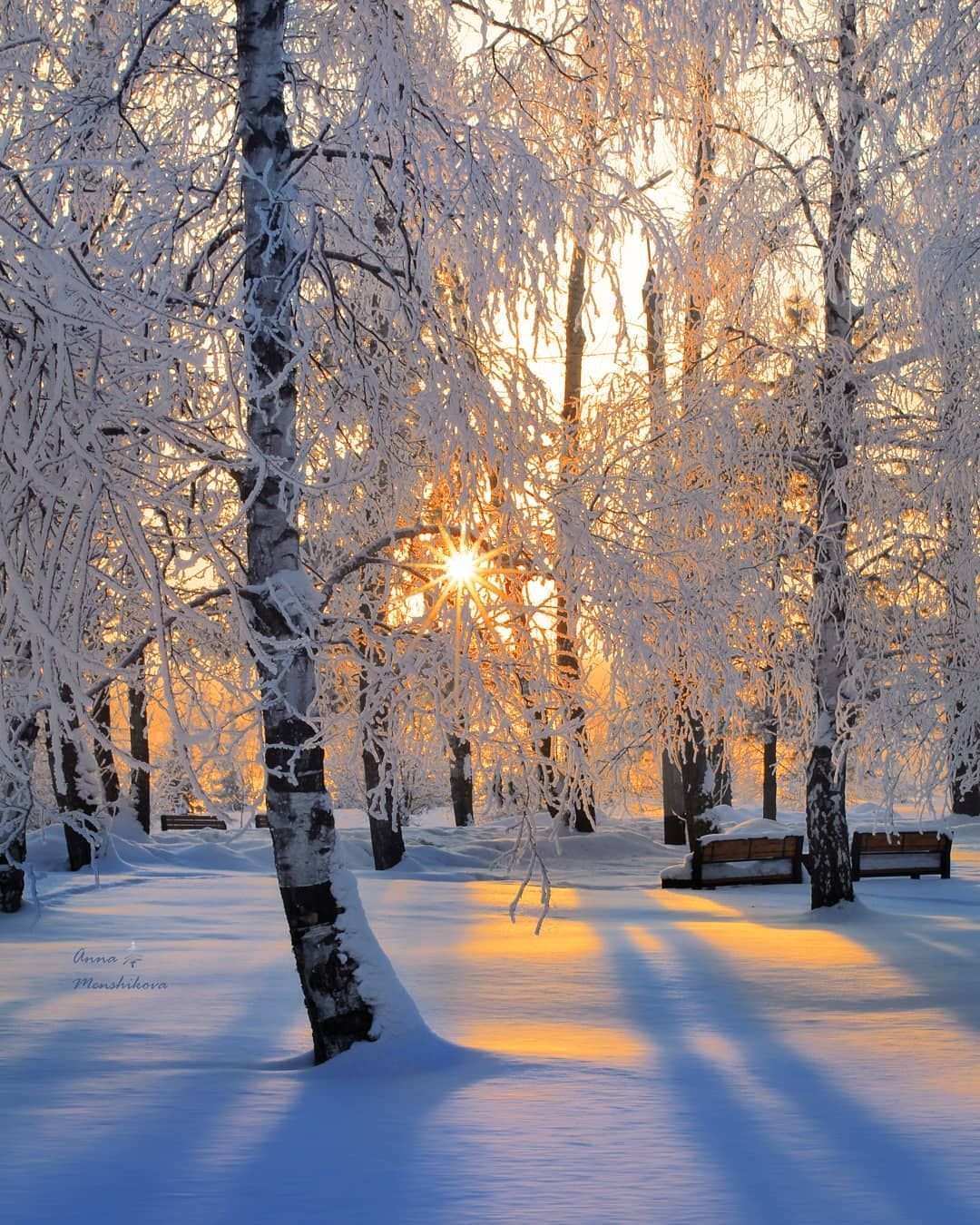 Природа зима