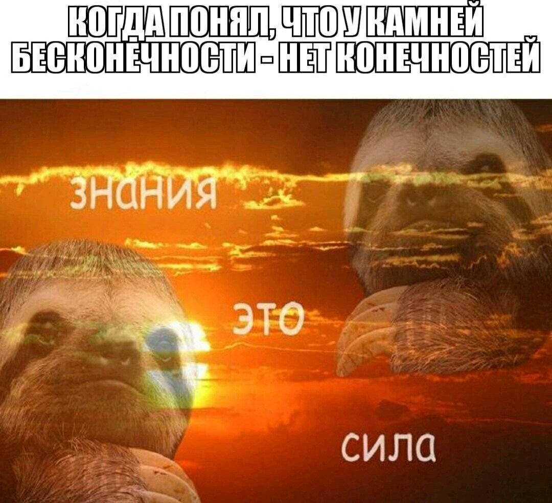 Знания сила Мем Ленивец