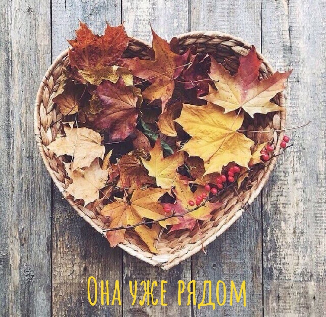 Деревья акварелью поэтапно