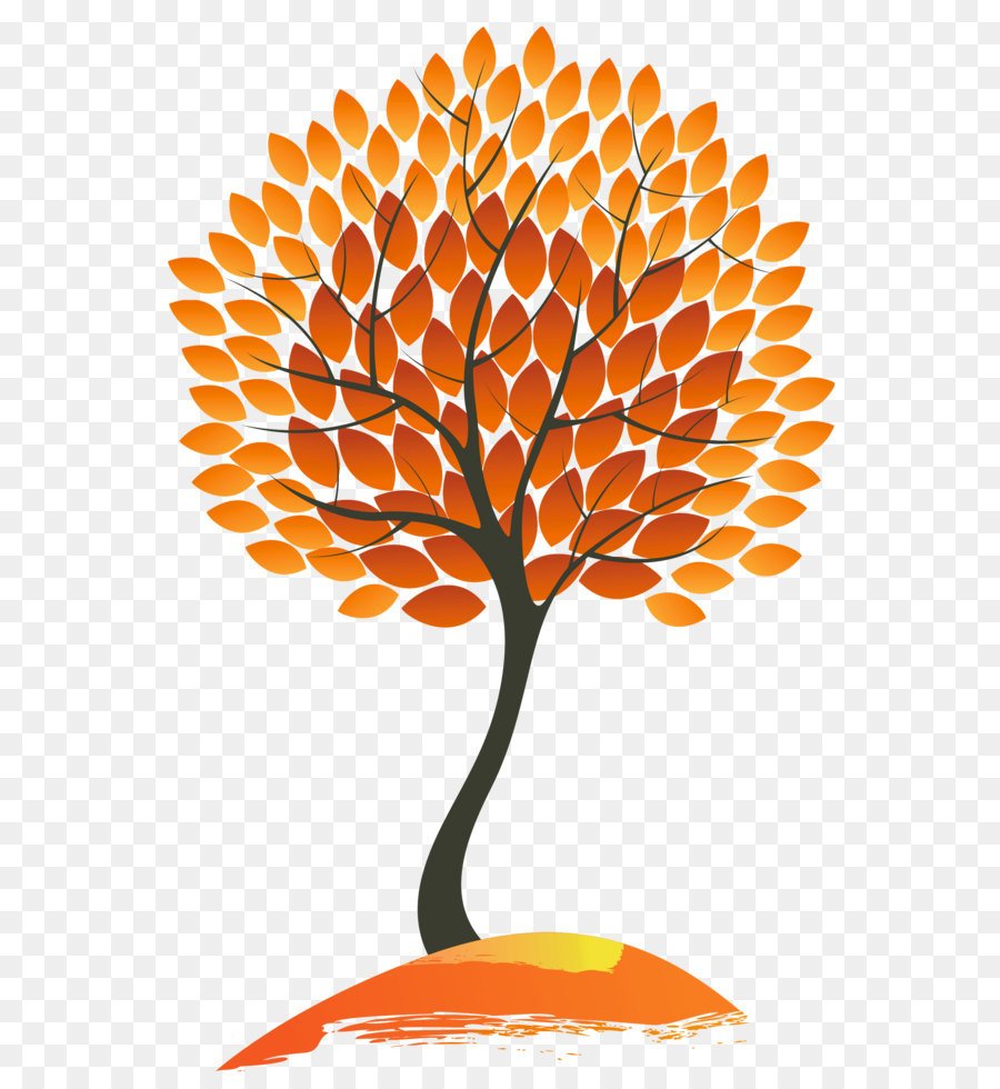 Осень деревья небо