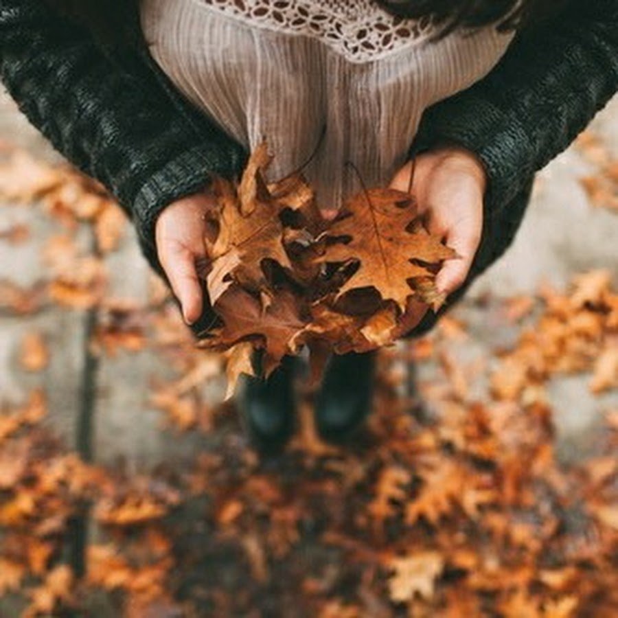 Краски осени деревья