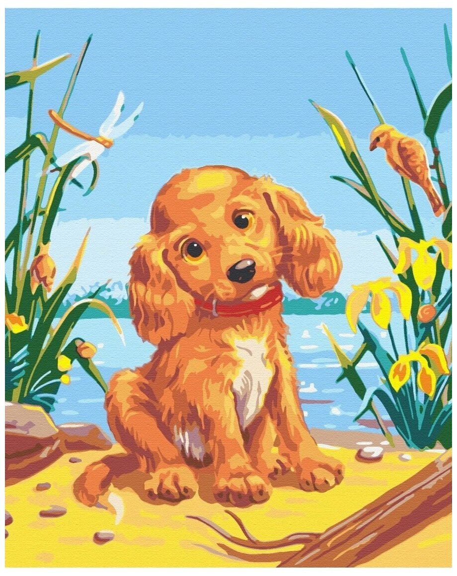 Константин Саланда