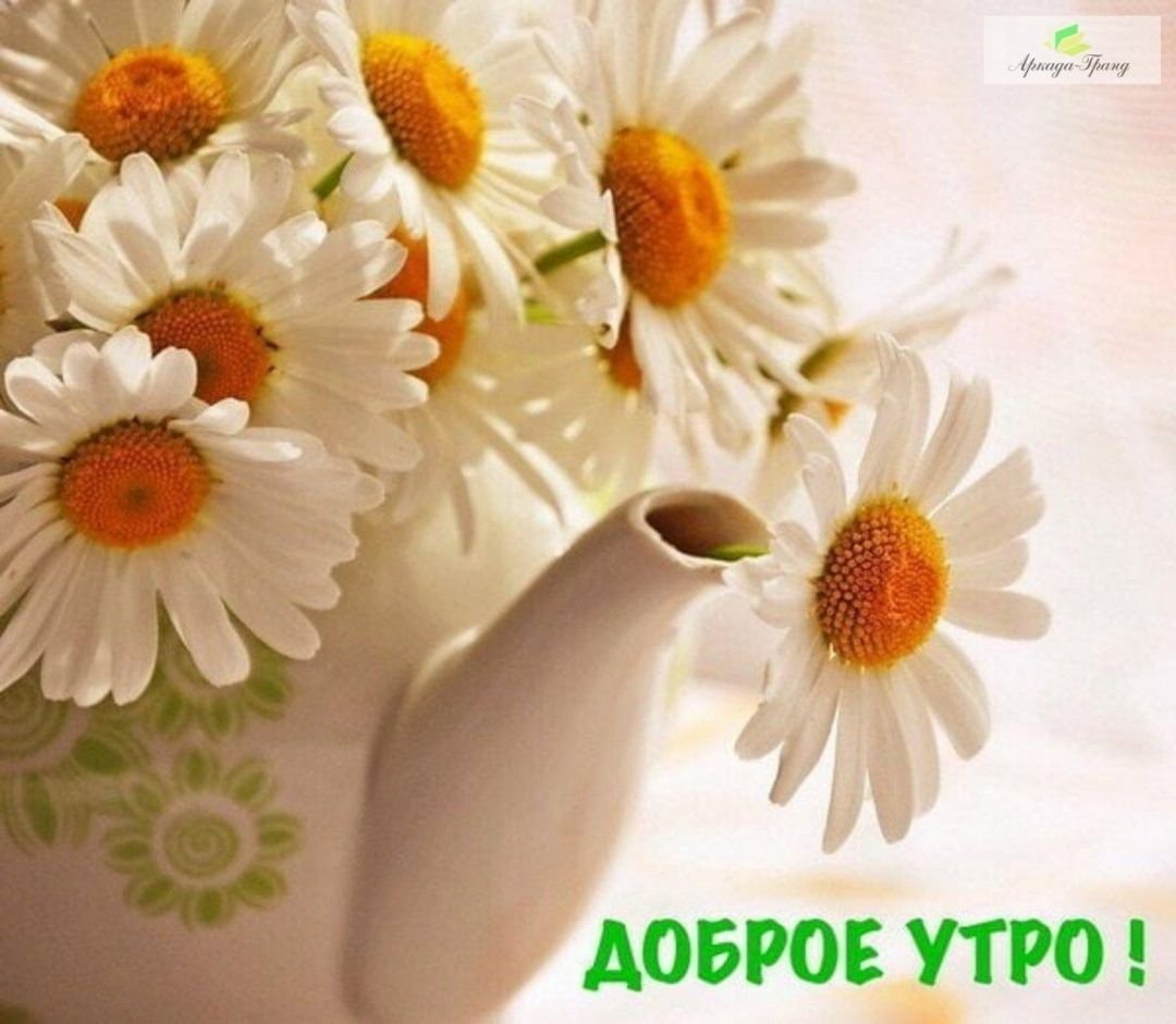 Доброго утра и хорошеготнастроения
