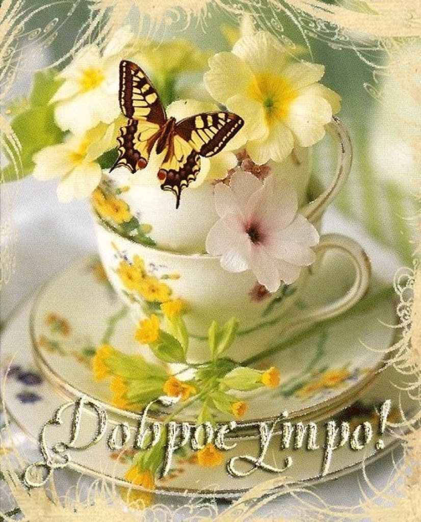 Прекрасный день