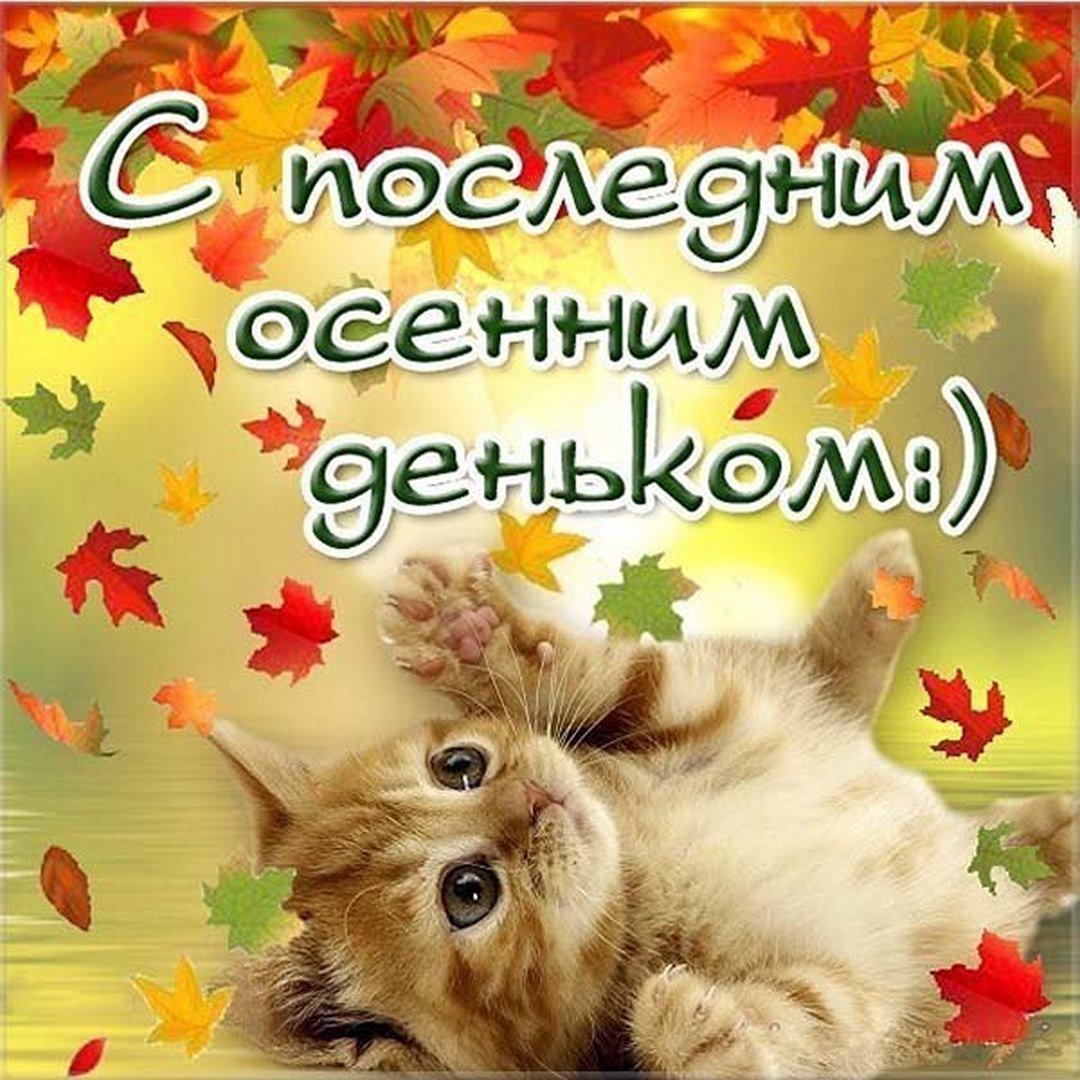 С последним днем ноября