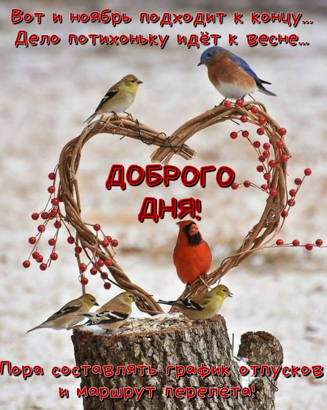 С последнтм днём осени