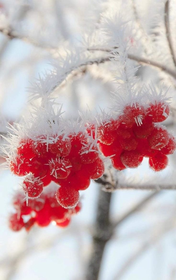 30 Ноября последний день ноября