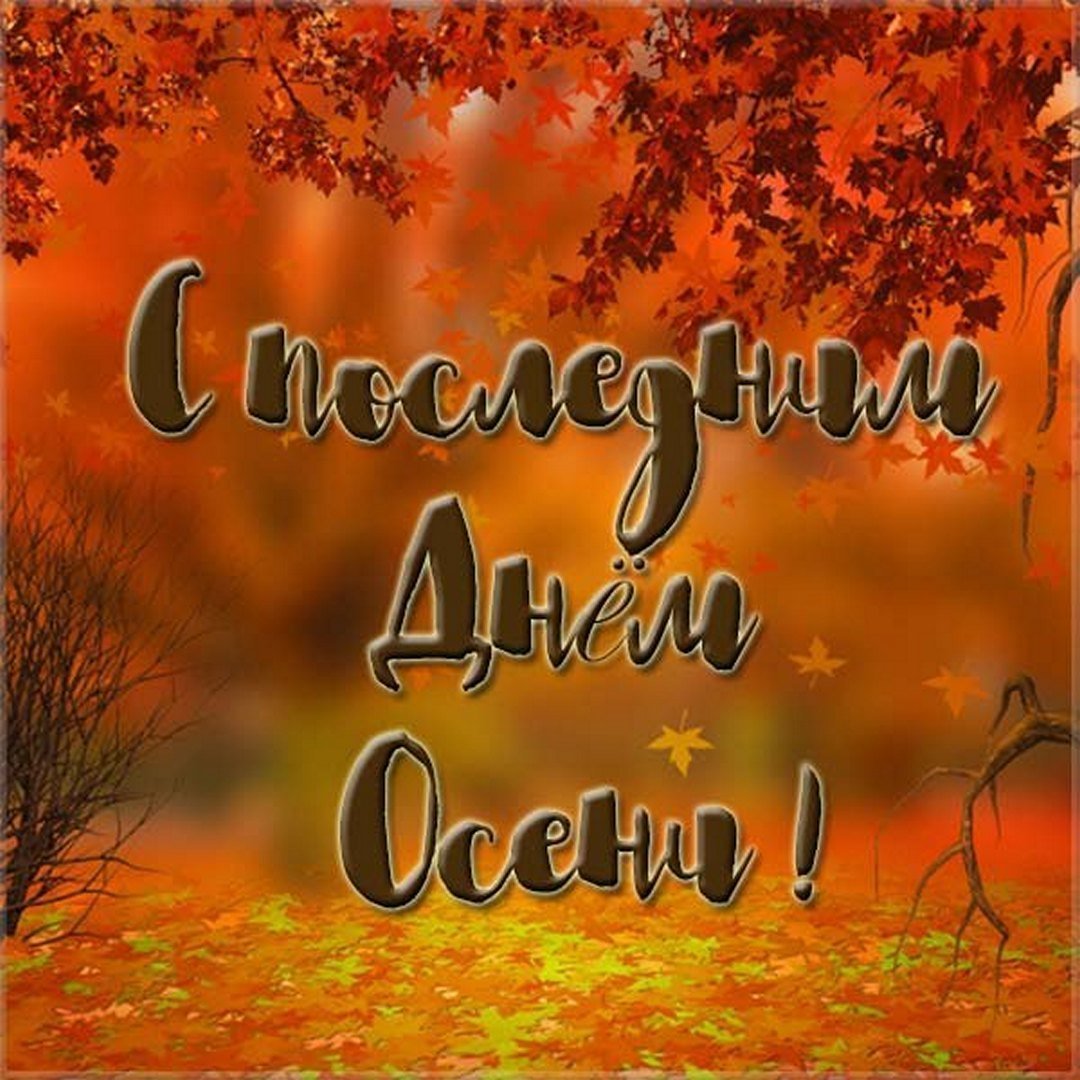 Привет ноябрь