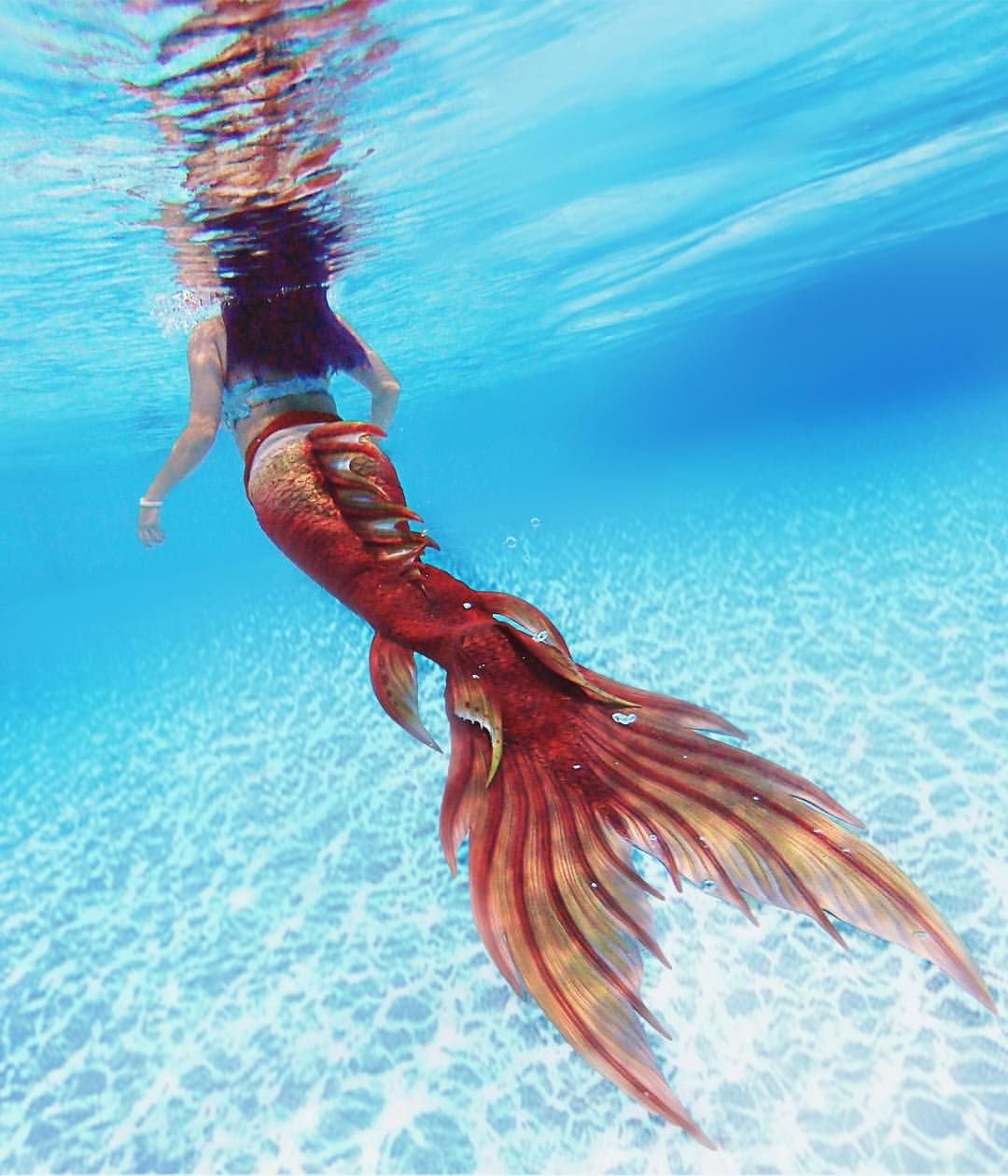 Русалка с бирюзовым хвостом