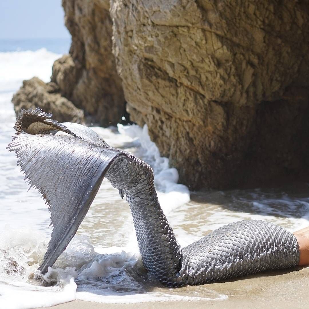 Русалочий хвост