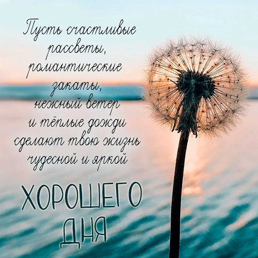 Красивые Вдохновляющие фразы