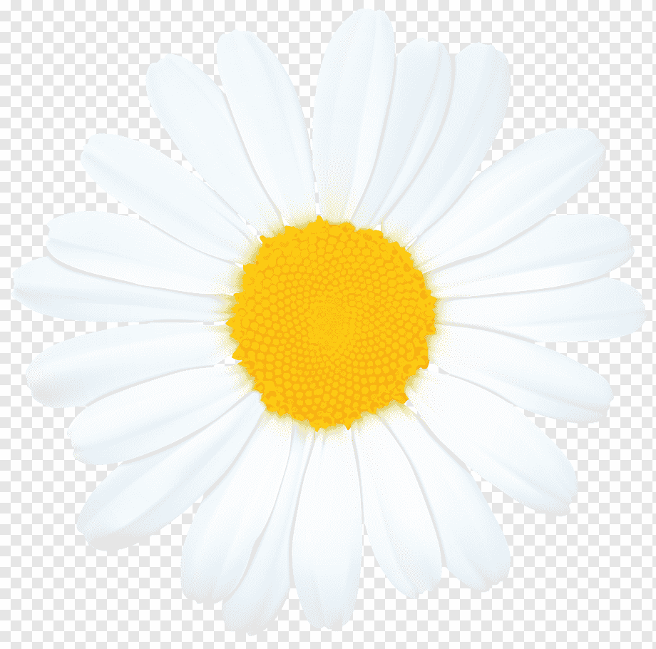 Ромашка мультяшная для детей