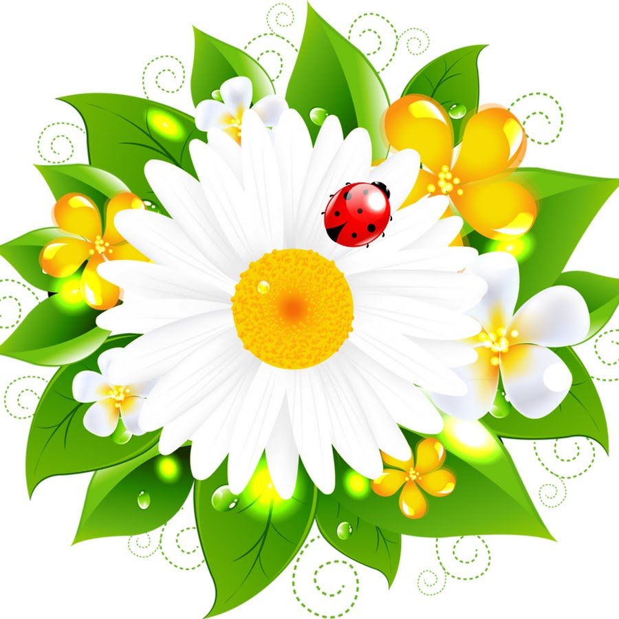 Группа Ромашка