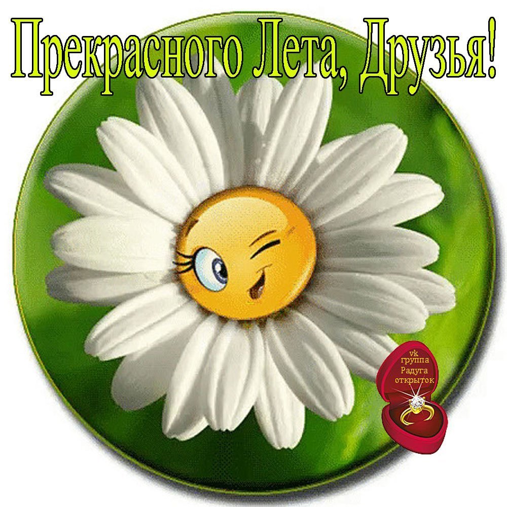 Эмблема Ромашка