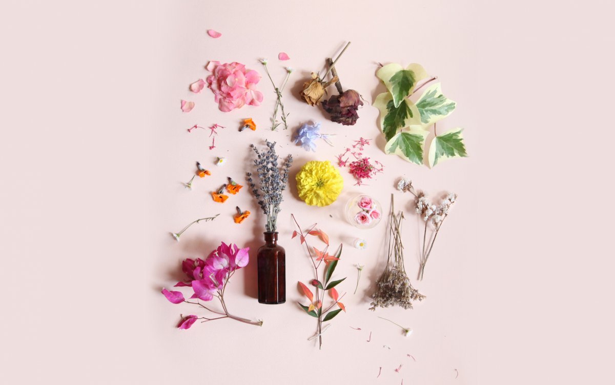 Весенние цветы Минимализм