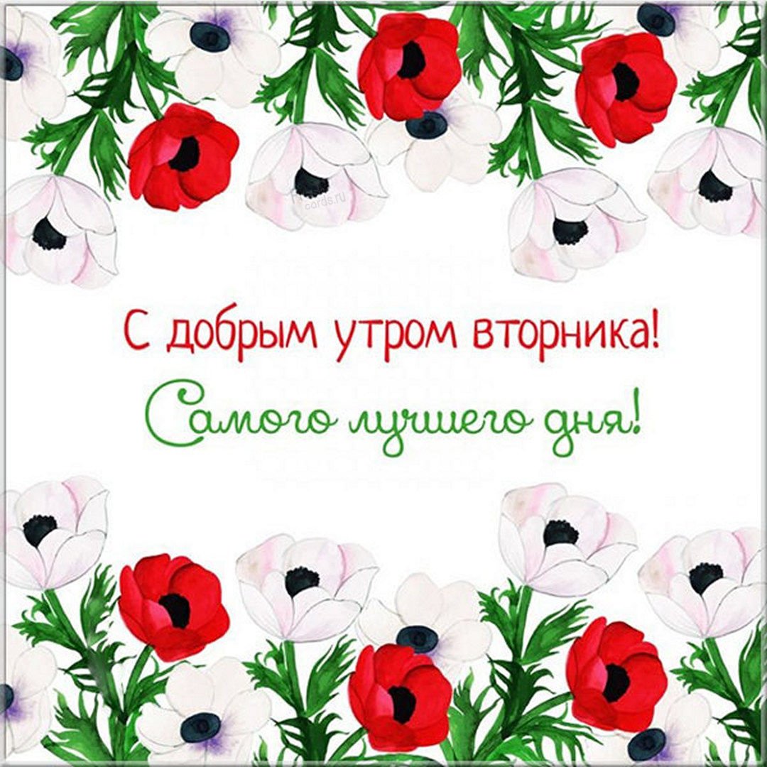 Сдобоым утром вторниеа