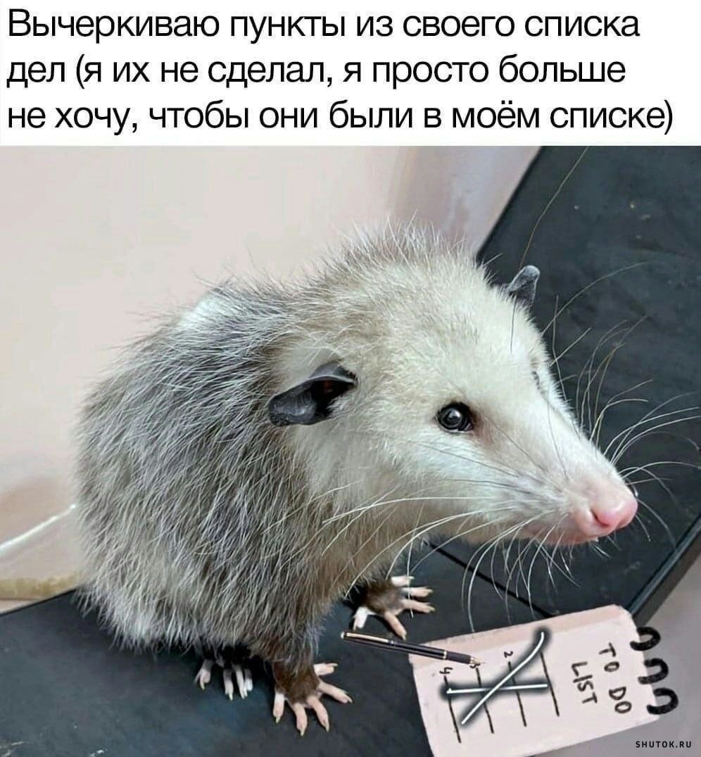 Ты хоть высыпаешься