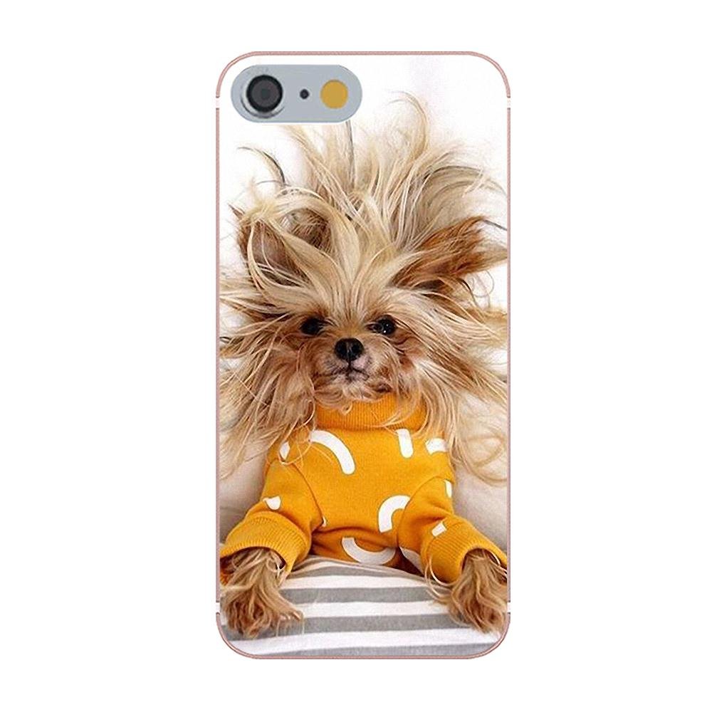 Открытки с добрым утром прикольные