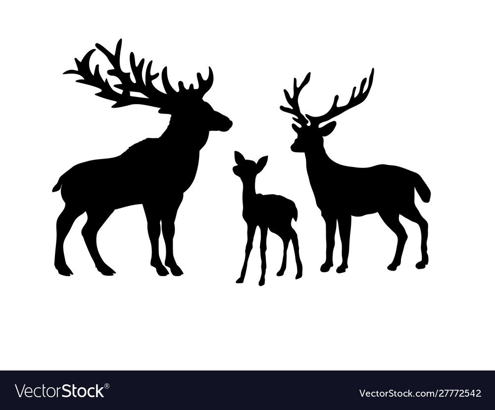 Семья оленей