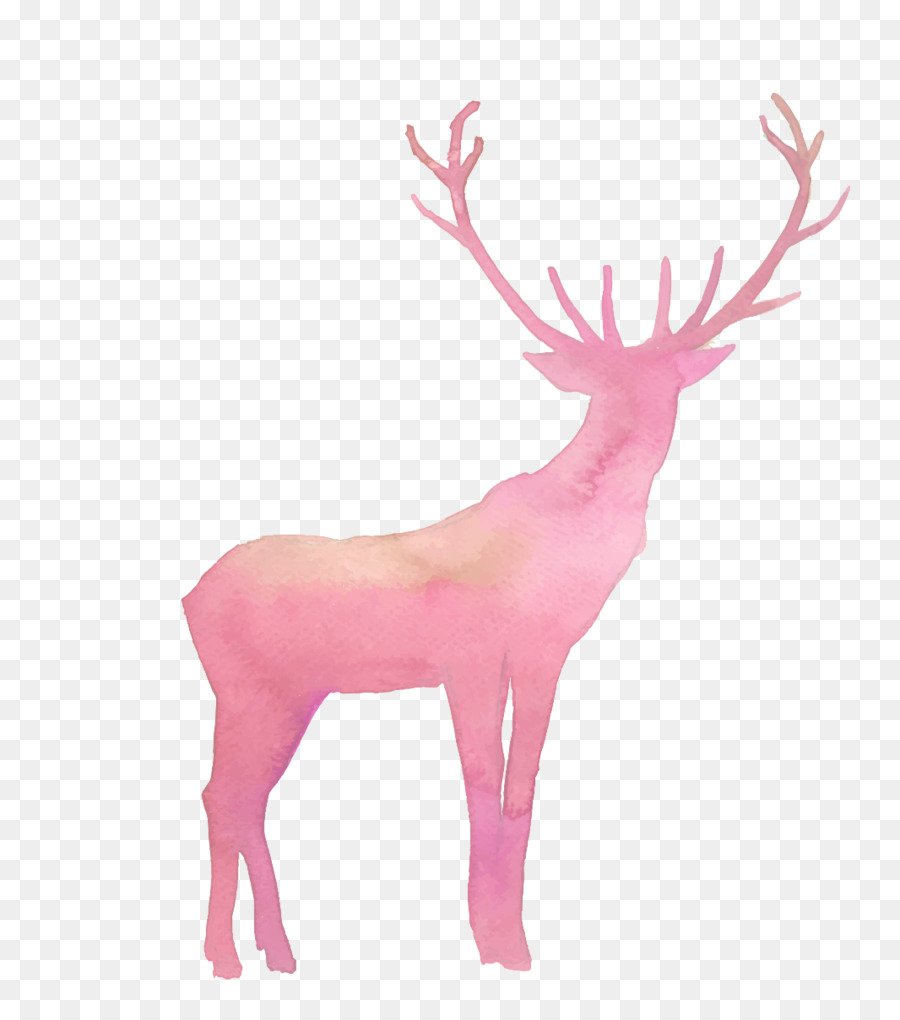 Олень на прозрачном фоне для фотошопа