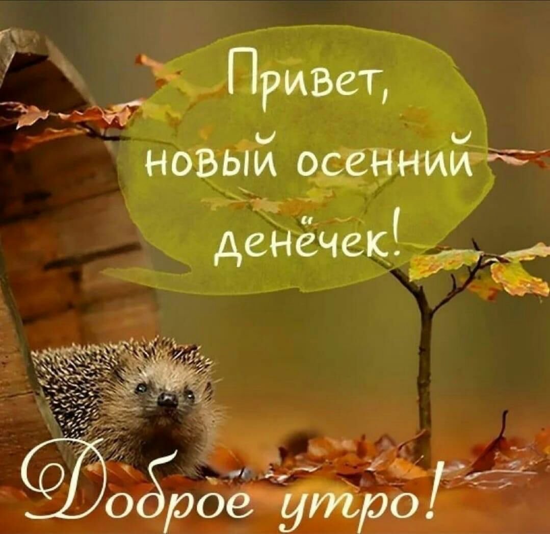 Доброе осеннее утро