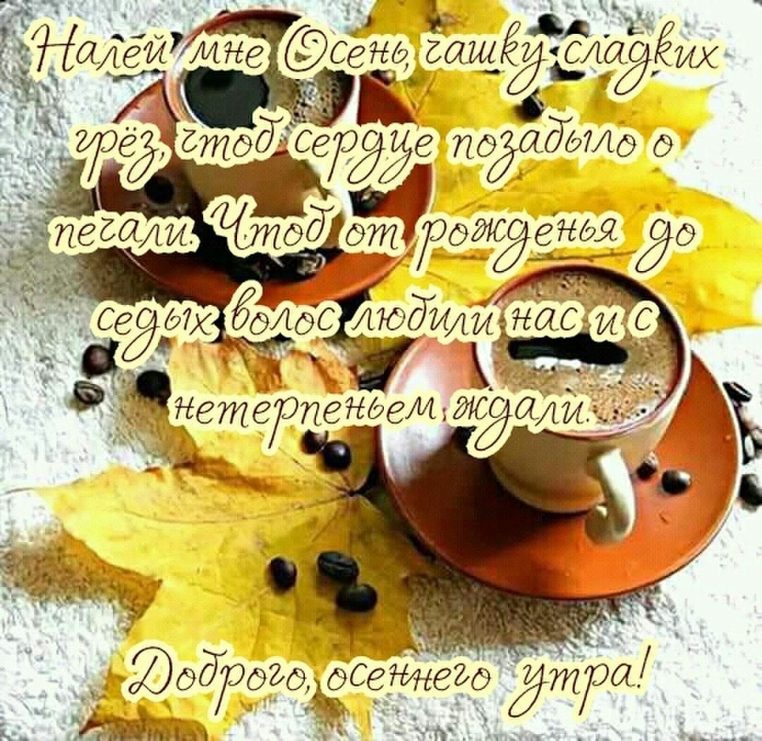 Доброе Воскресное утро прикольные осенние