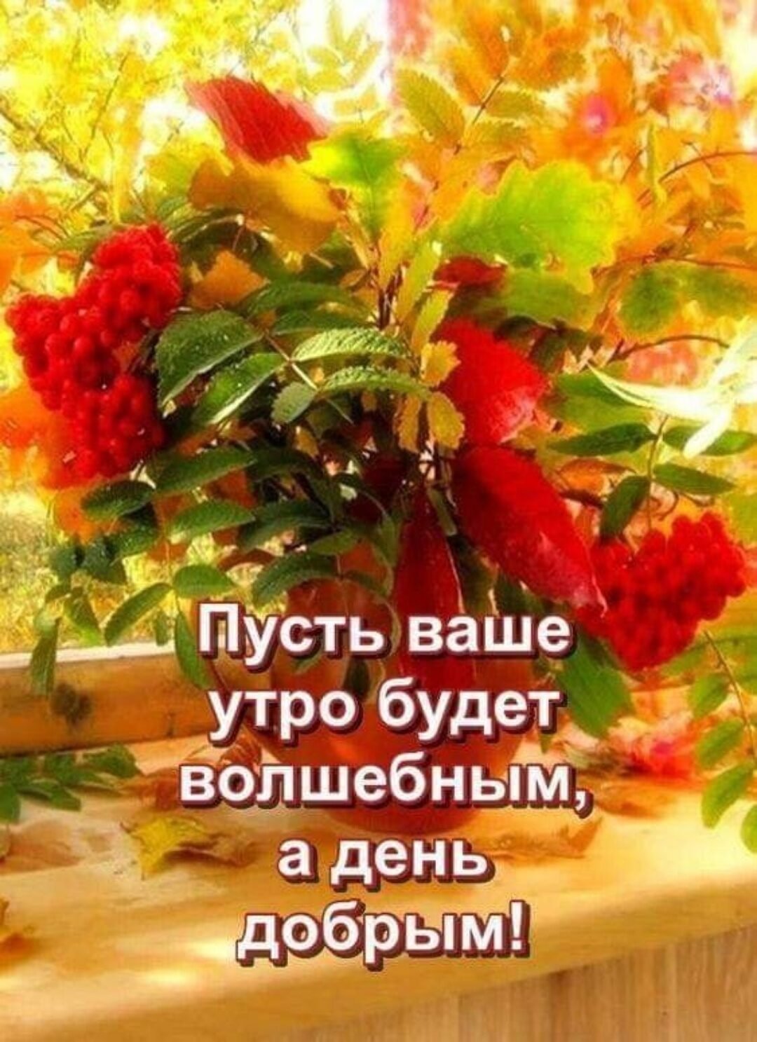 Радужный зонт осень