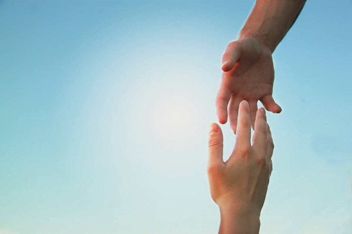 Ладони семьи