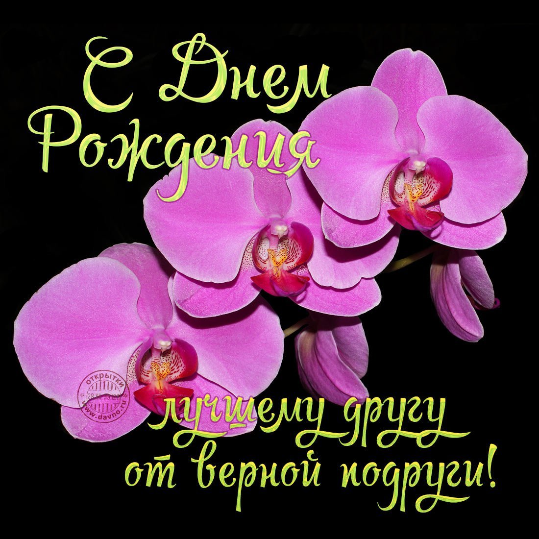 С днём рождения лучшему другу