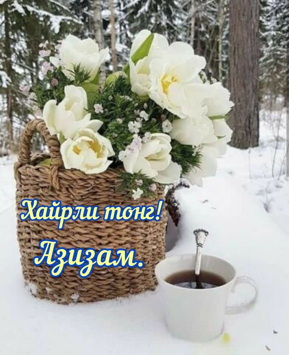 Доброе Снежное утро стильные