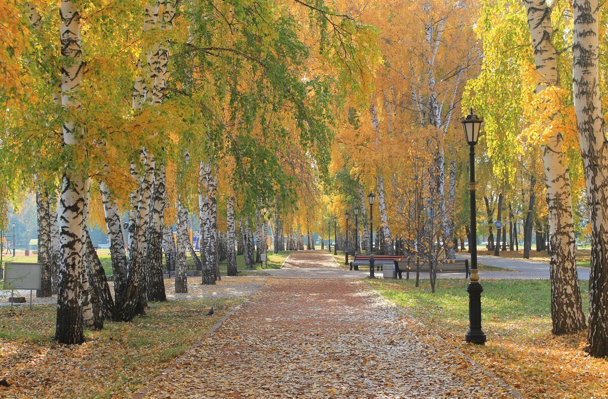 Парк г Салават