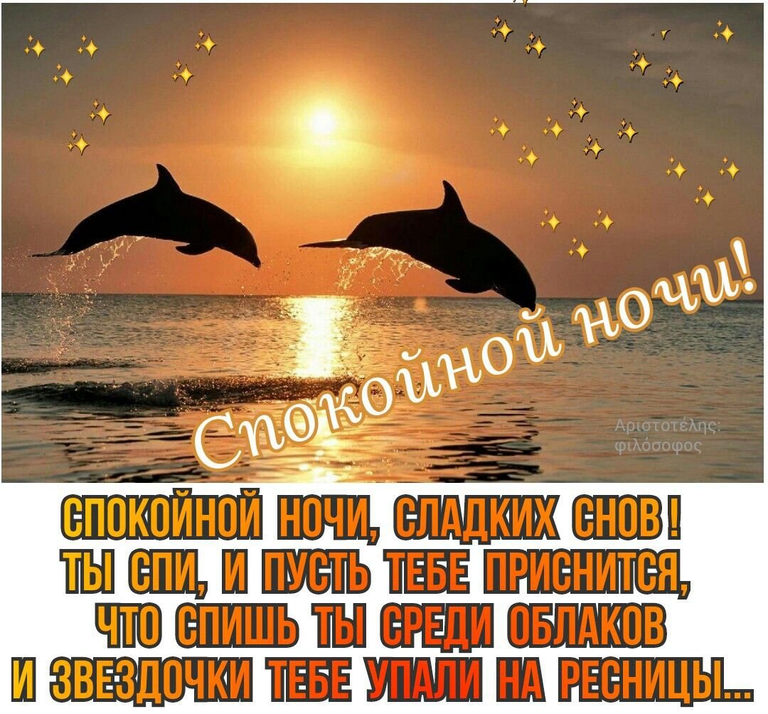 Спокойной ночи дельфины