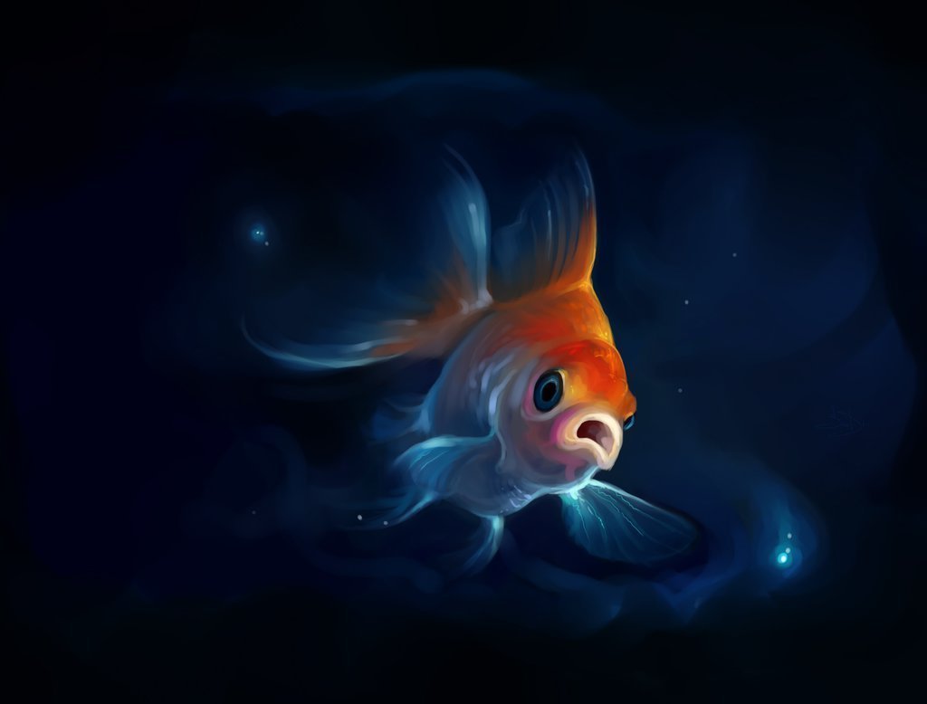 Ночные рыбы