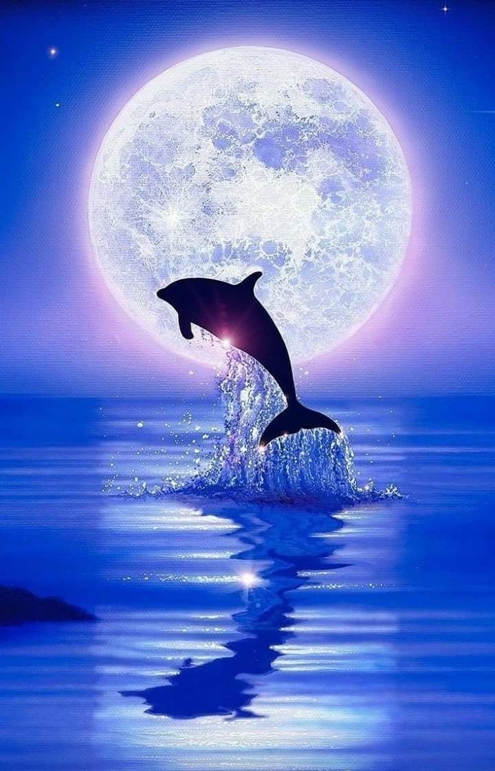 Сказочный сон