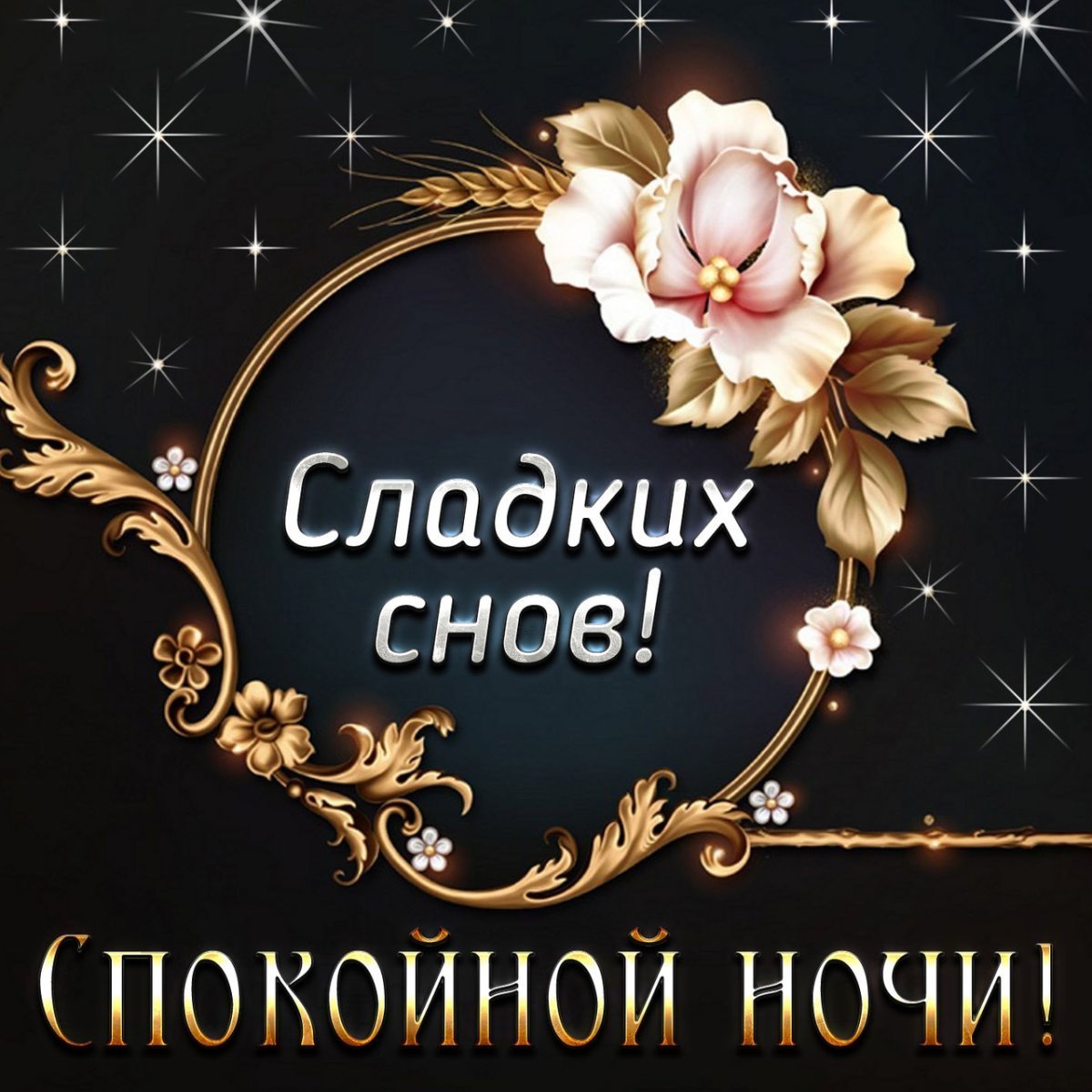 Спокойной ночи приятных снов
